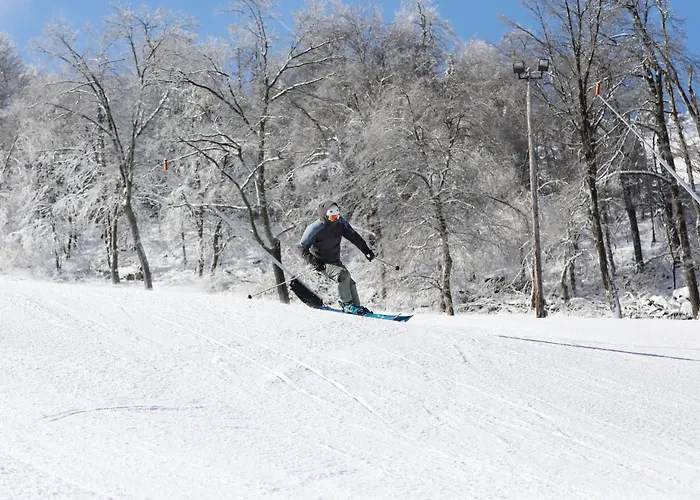 Seven Springs Sunridge 3 Bedroom Standard Condo, Pet Friendly! Condo